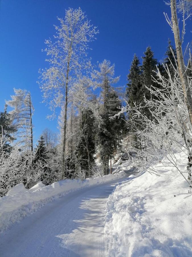 Kanis 80 Schnepfau Buitenkant foto